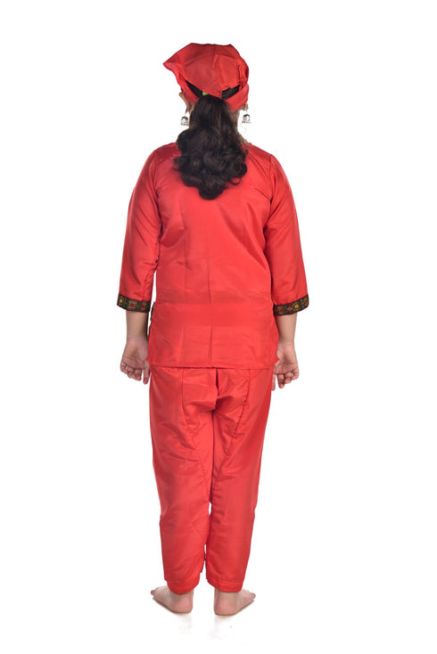 BookMyCostume Kashmiri Girl with Jewellery Indian State For Girl's & Women  Fancy Dress Costume